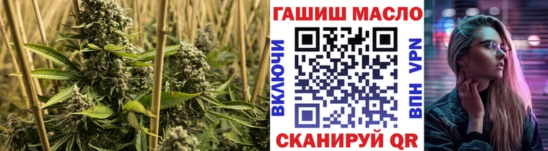 omg маркетплейс  Кирс  Дистиллят ТГК гашишное масло 